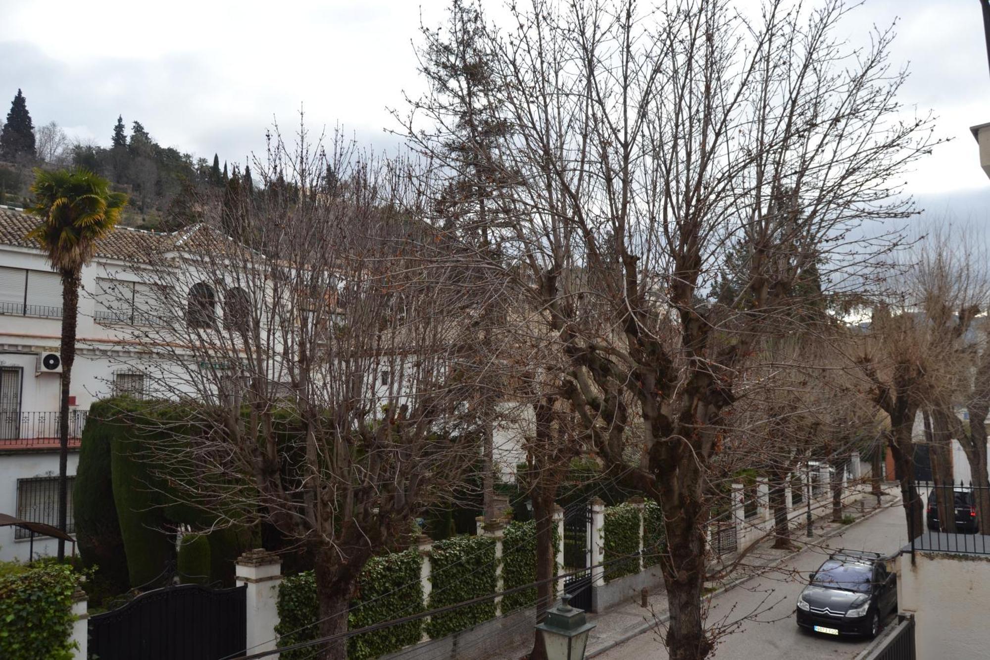 Carmen Del Cadi Apartment Granada Luaran gambar